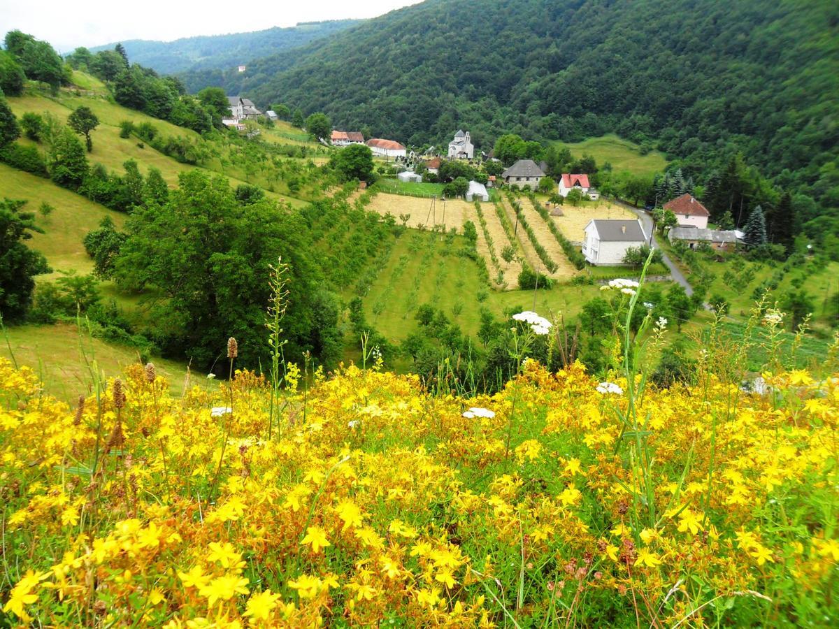Kraljska Koliba - Kralje'S Cottage Andrijevica Екстериор снимка