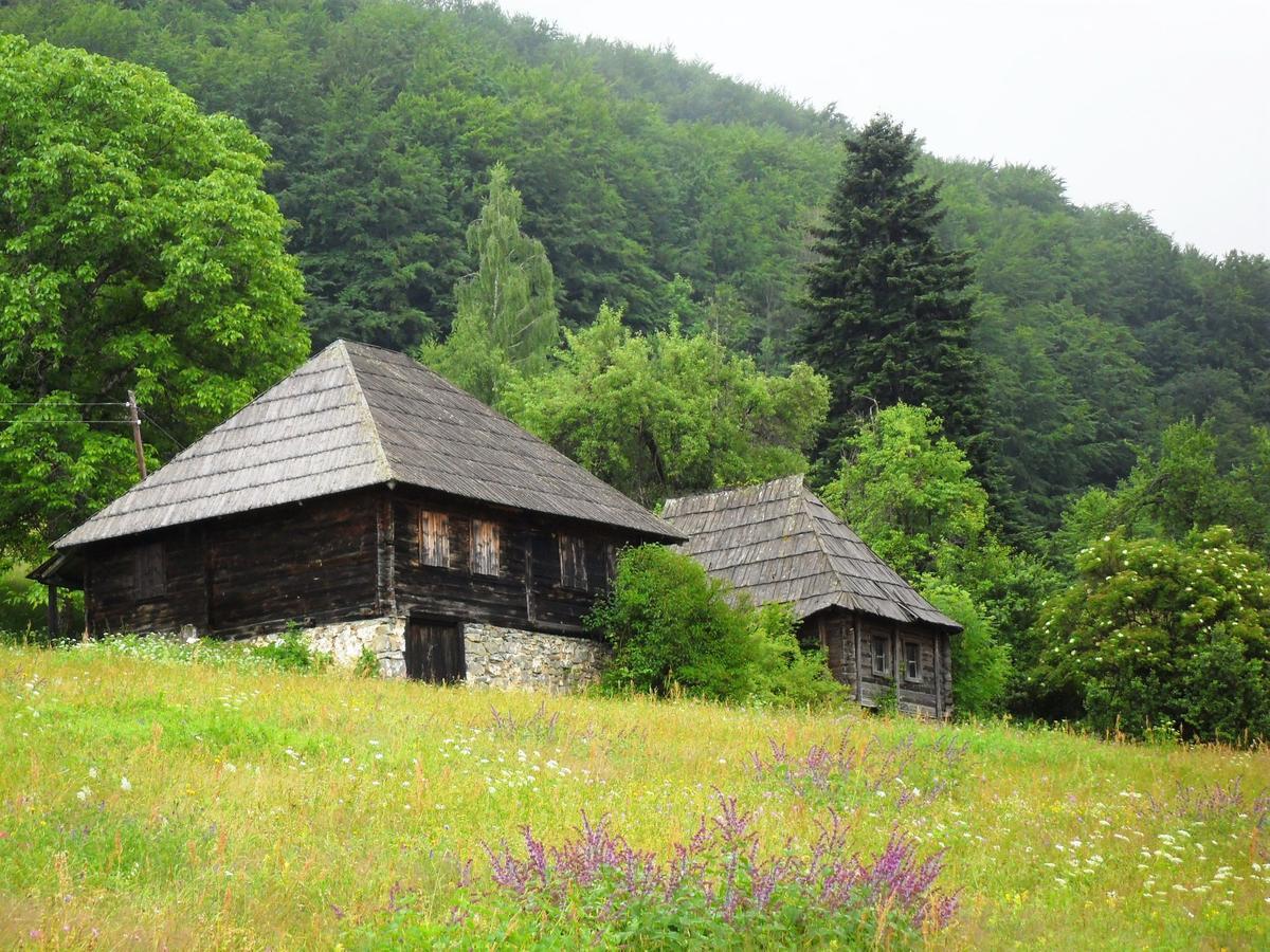 Kraljska Koliba - Kralje'S Cottage Andrijevica Екстериор снимка