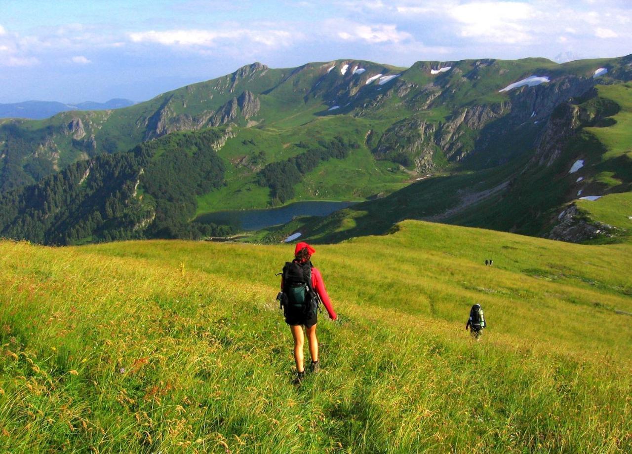 Kraljska Koliba - Kralje'S Cottage Andrijevica Екстериор снимка