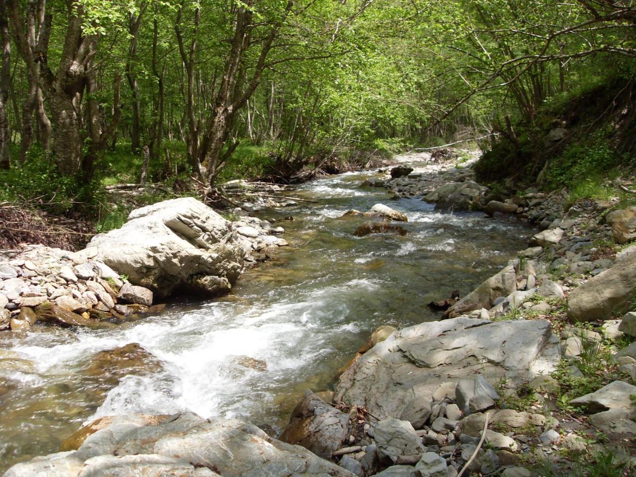 Kraljska Koliba - Kralje'S Cottage Andrijevica Екстериор снимка